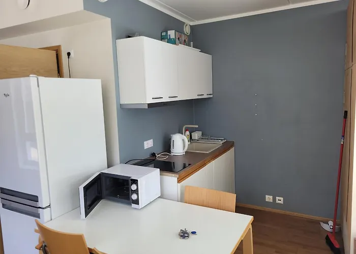 Kengo Raatuse Apartment *